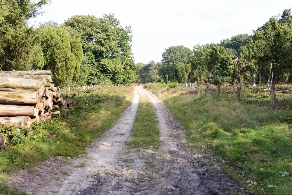 Hümmlinger Pilgerweg bei Börger